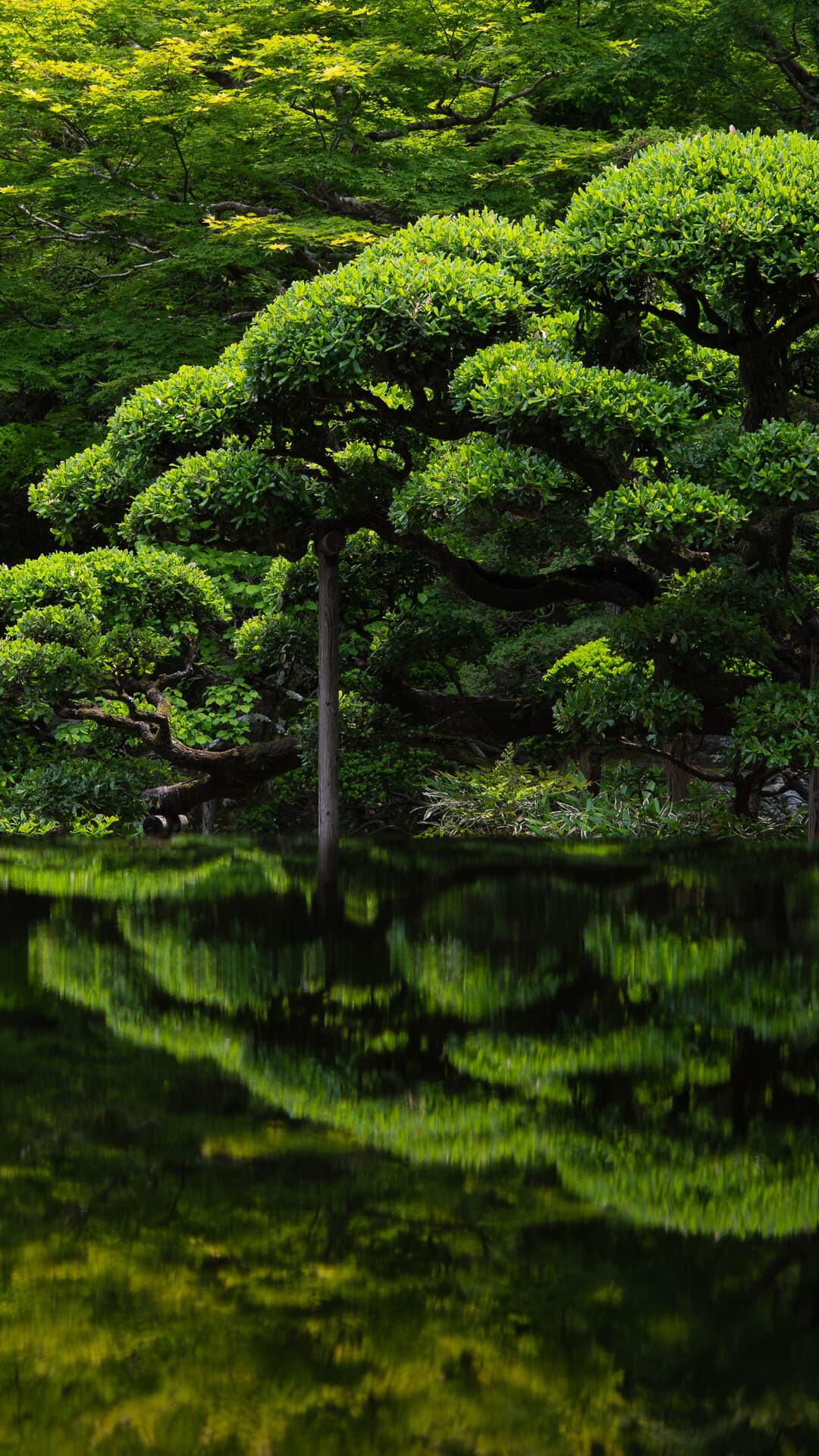 Aesthetic Wallpaper #1917