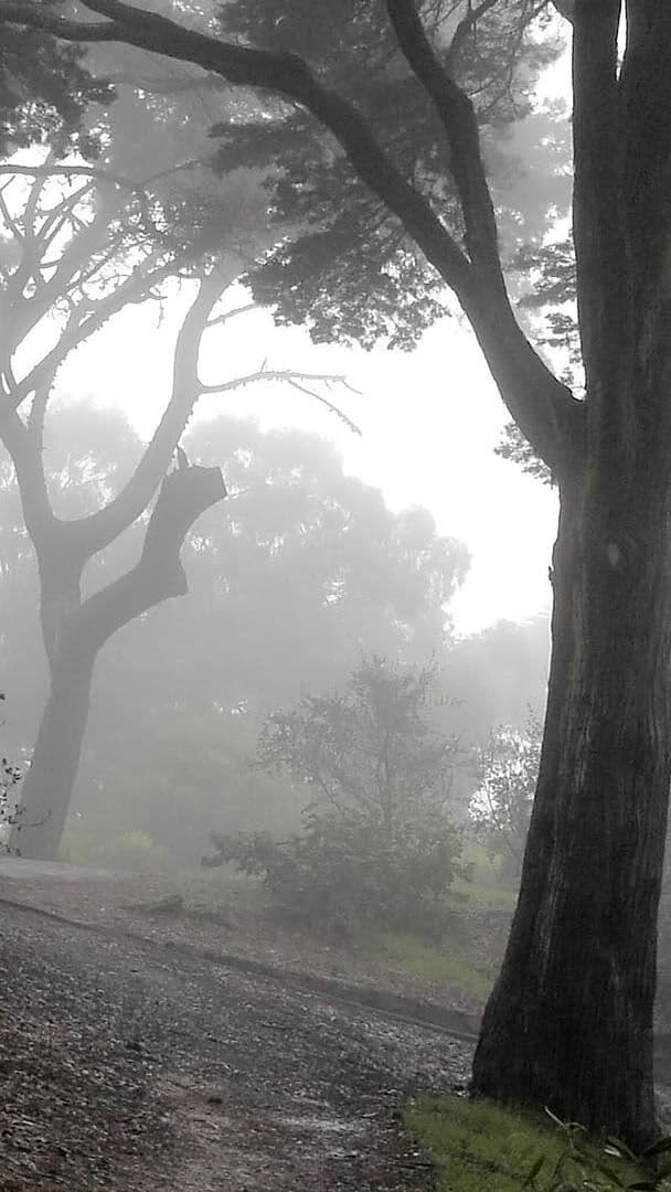 Aesthetic Wallpaper #1799