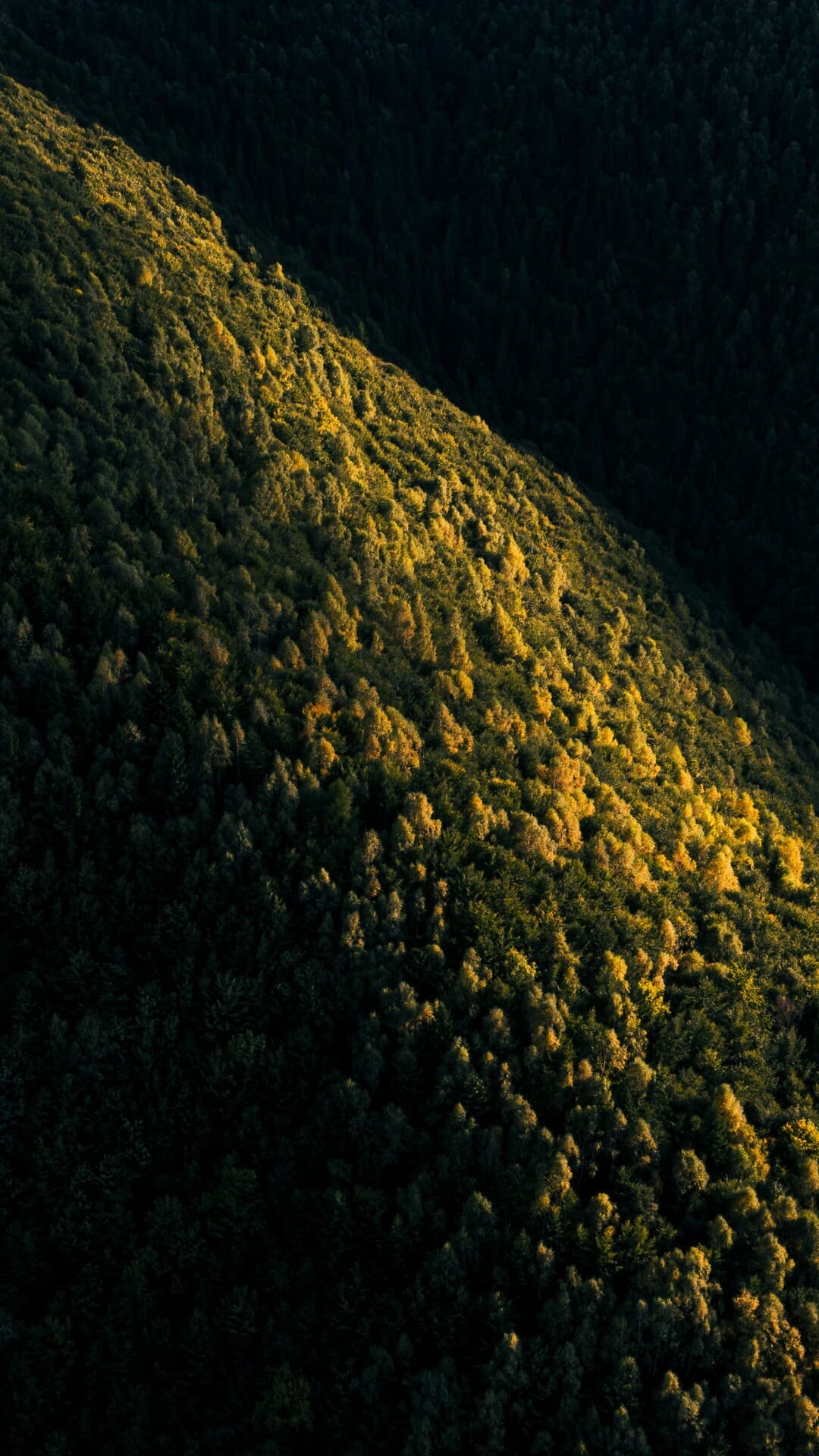 Aesthetic Wallpaper #888