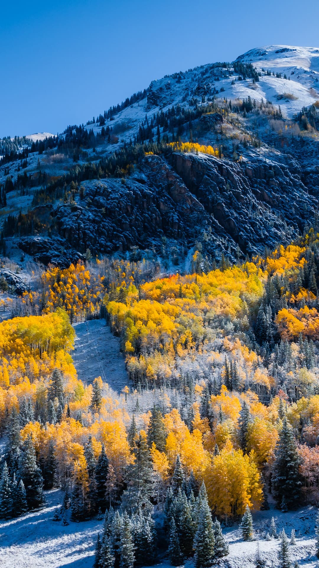 Aesthetic Wallpaper #3102