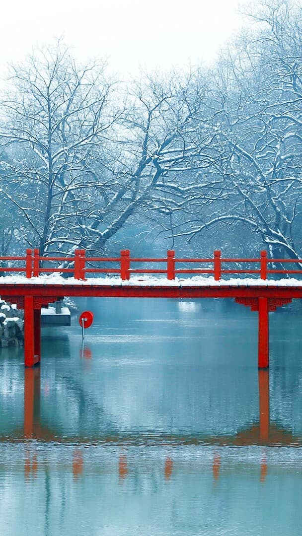 Aesthetic Wallpaper #3641