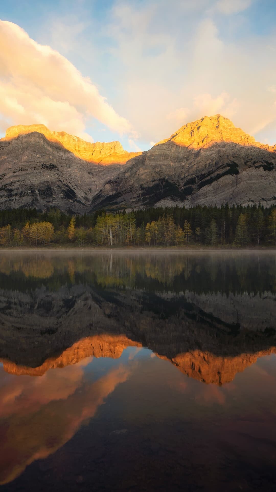 Aesthetic Wallpaper #1116