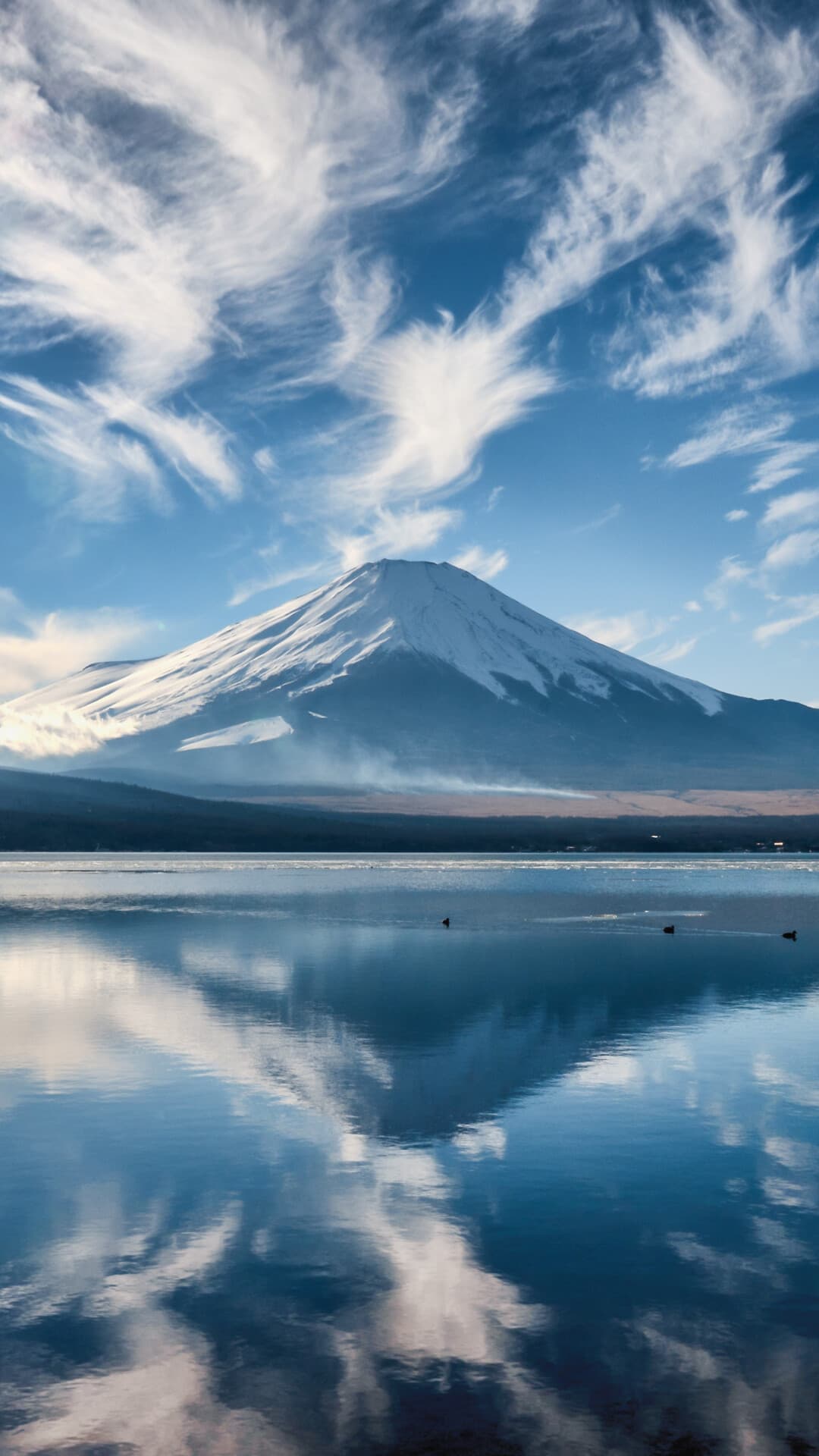 Aesthetic Wallpaper #614