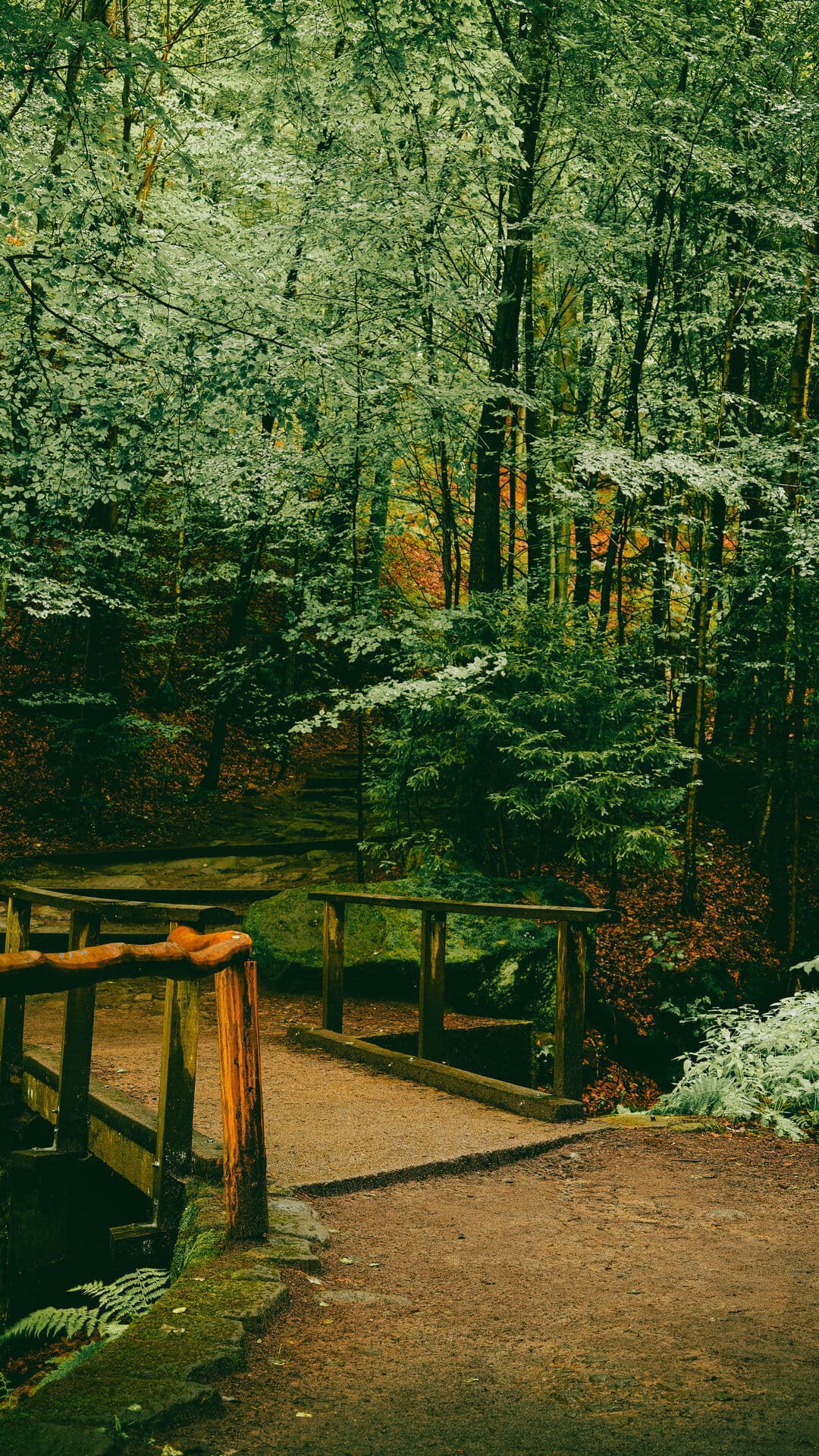 Aesthetic Wallpaper #1220