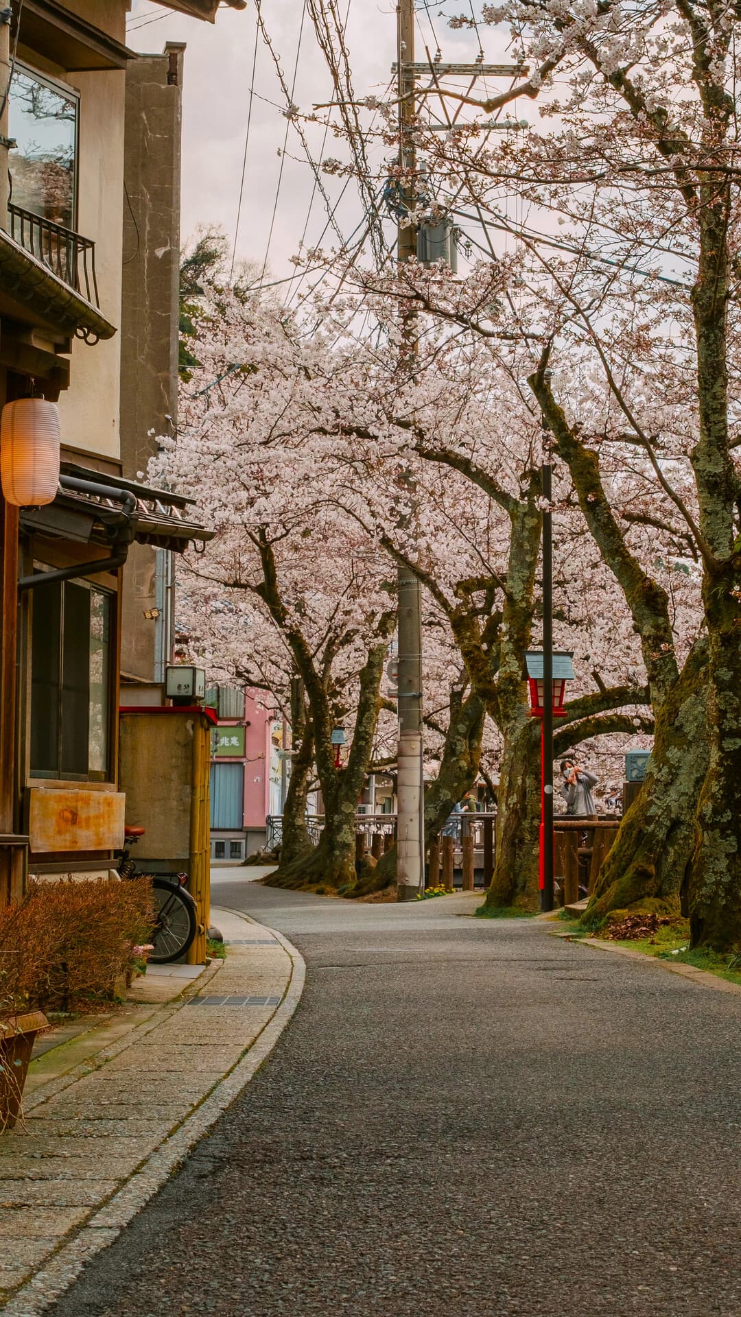 Aesthetic Wallpaper #4132