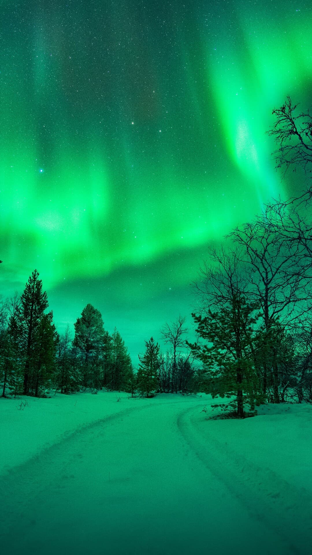 Aesthetic Wallpaper #2767