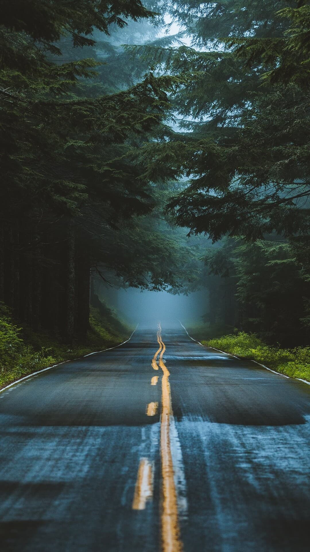 Aesthetic Wallpaper #3709