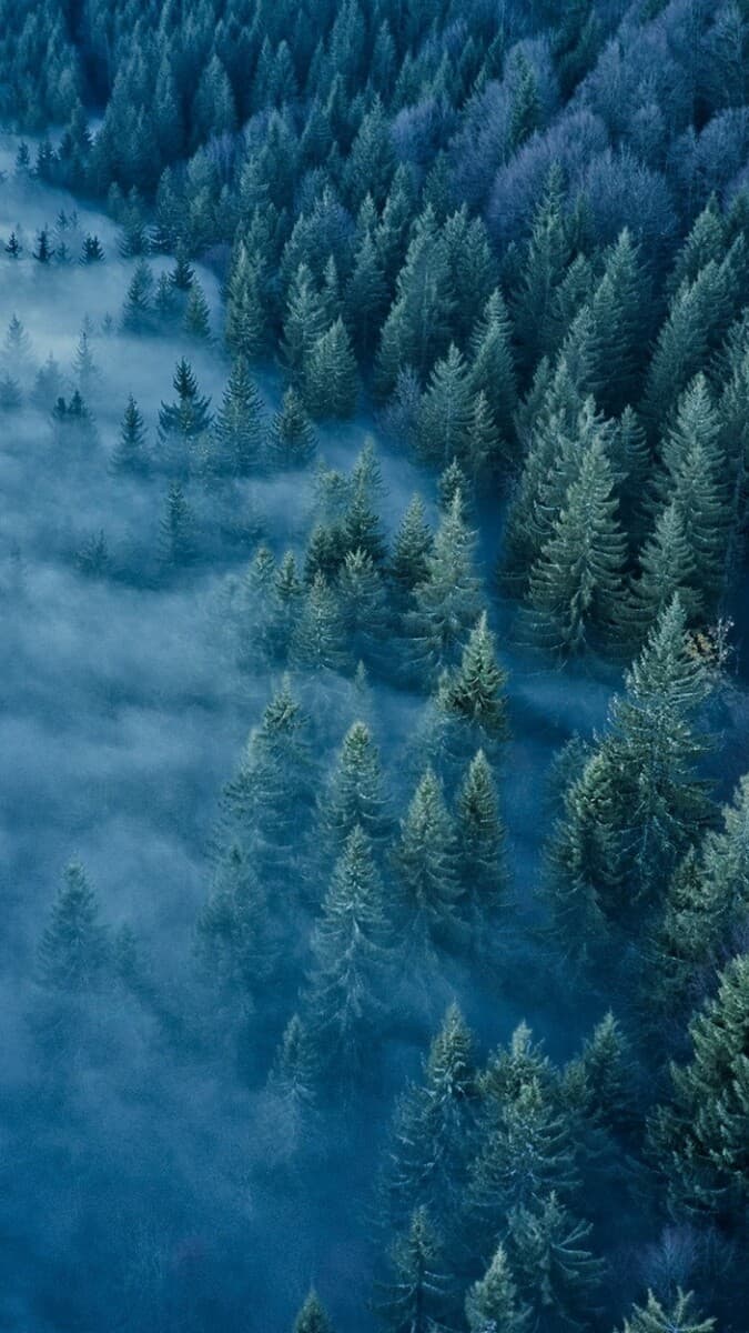 Aesthetic Wallpaper #516