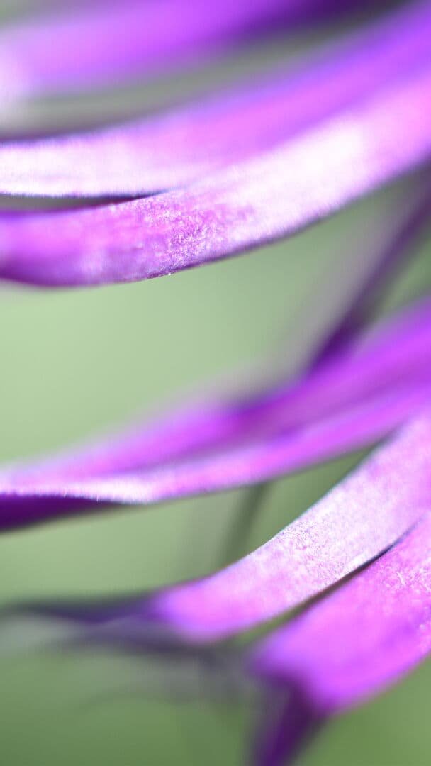 Aesthetic Wallpaper #656 - free HD phone wallpaper for iPhone and Android, 1284x2778