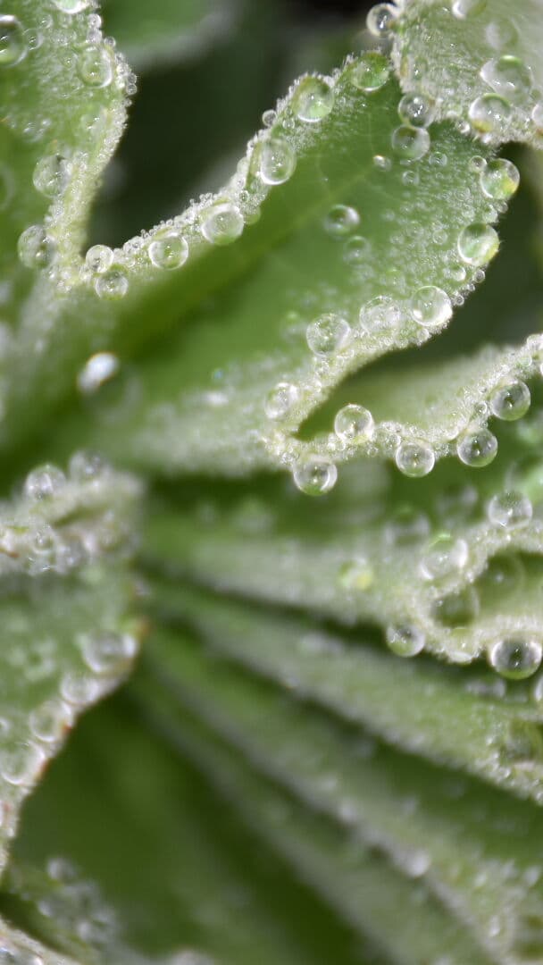 Aesthetic Wallpaper #5146