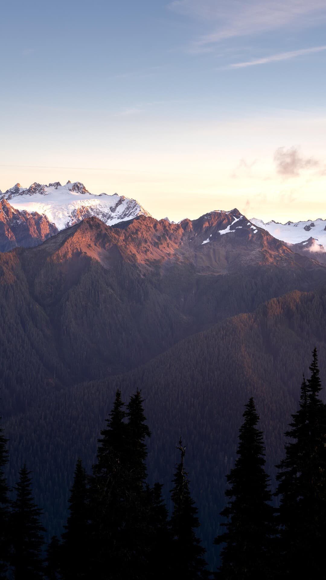 Aesthetic Wallpaper #5352