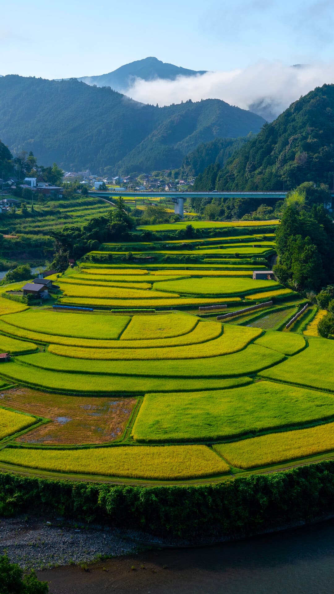 Aesthetic Wallpaper #2956