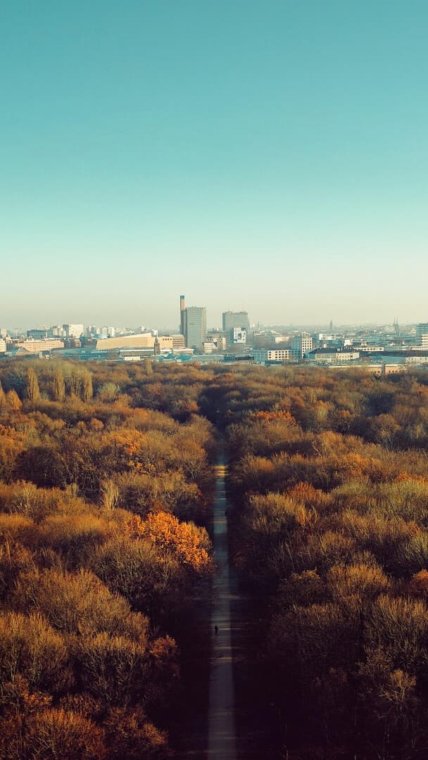 Aesthetic Wallpaper #2805