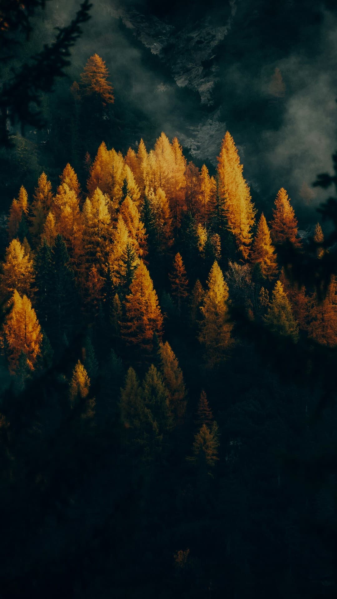 Aesthetic Wallpaper #1373