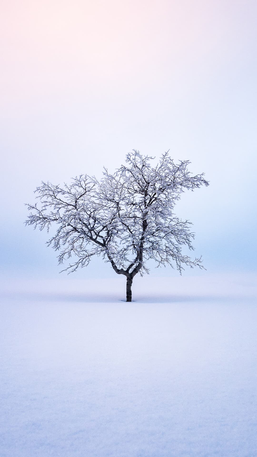 Aesthetic Wallpaper #1496