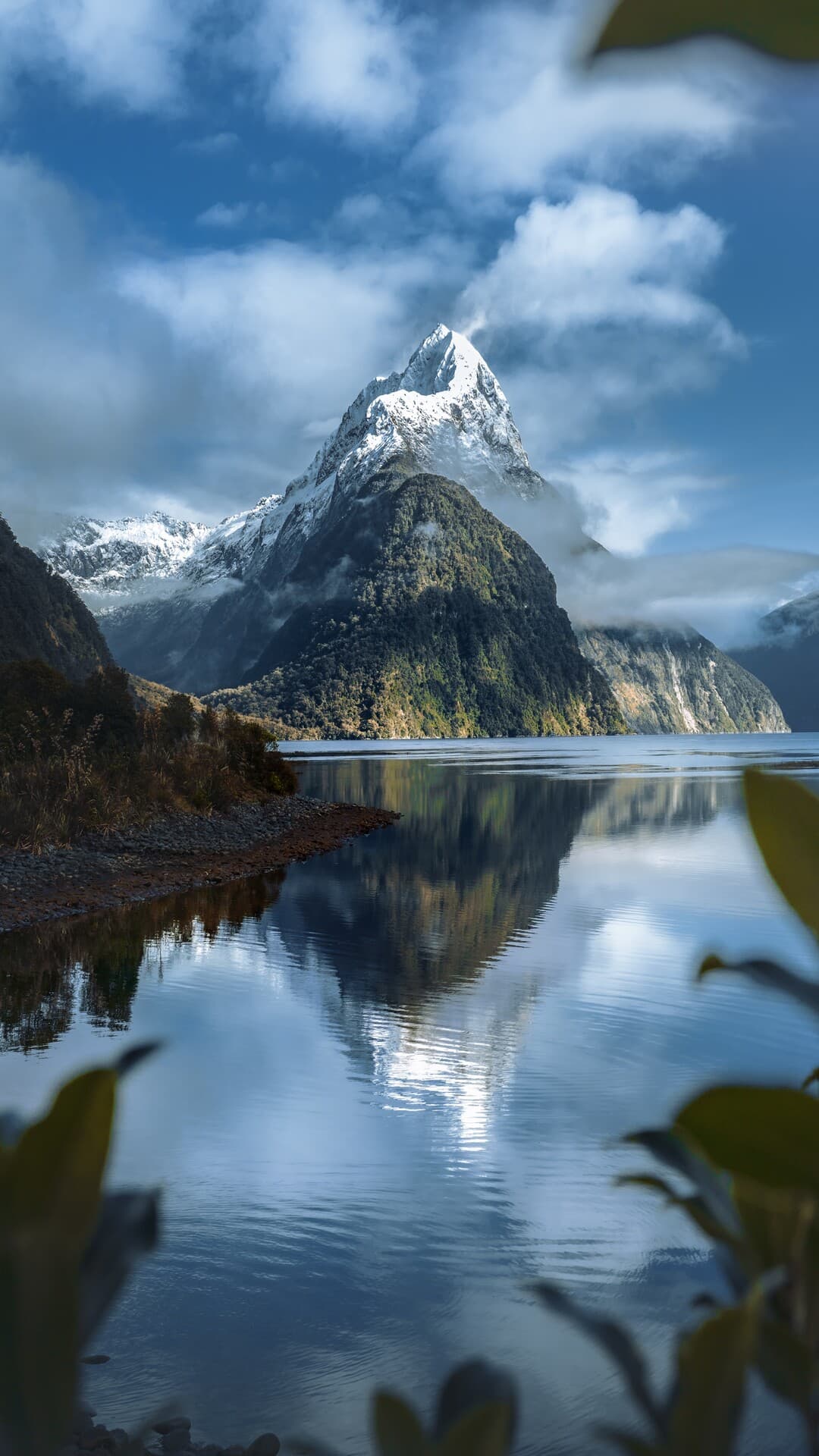 Aesthetic Wallpaper #4344