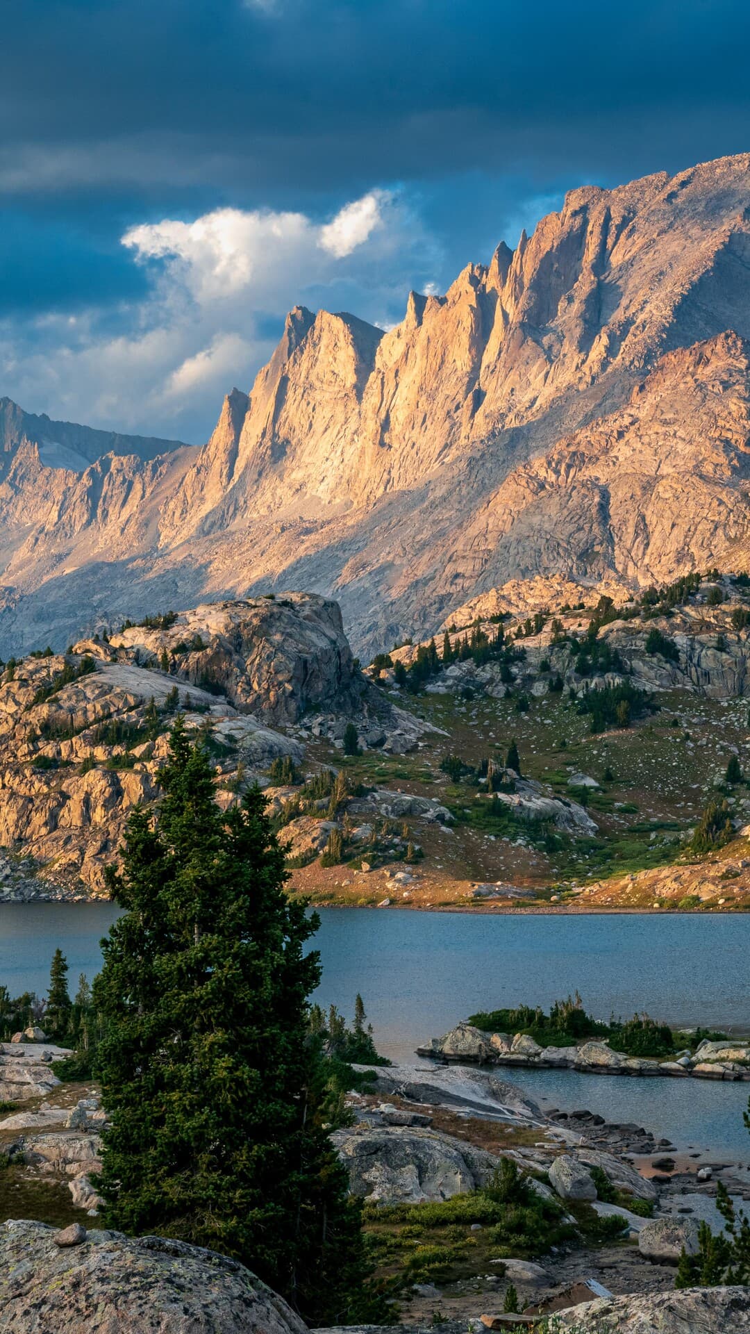 Aesthetic Wallpaper #3112