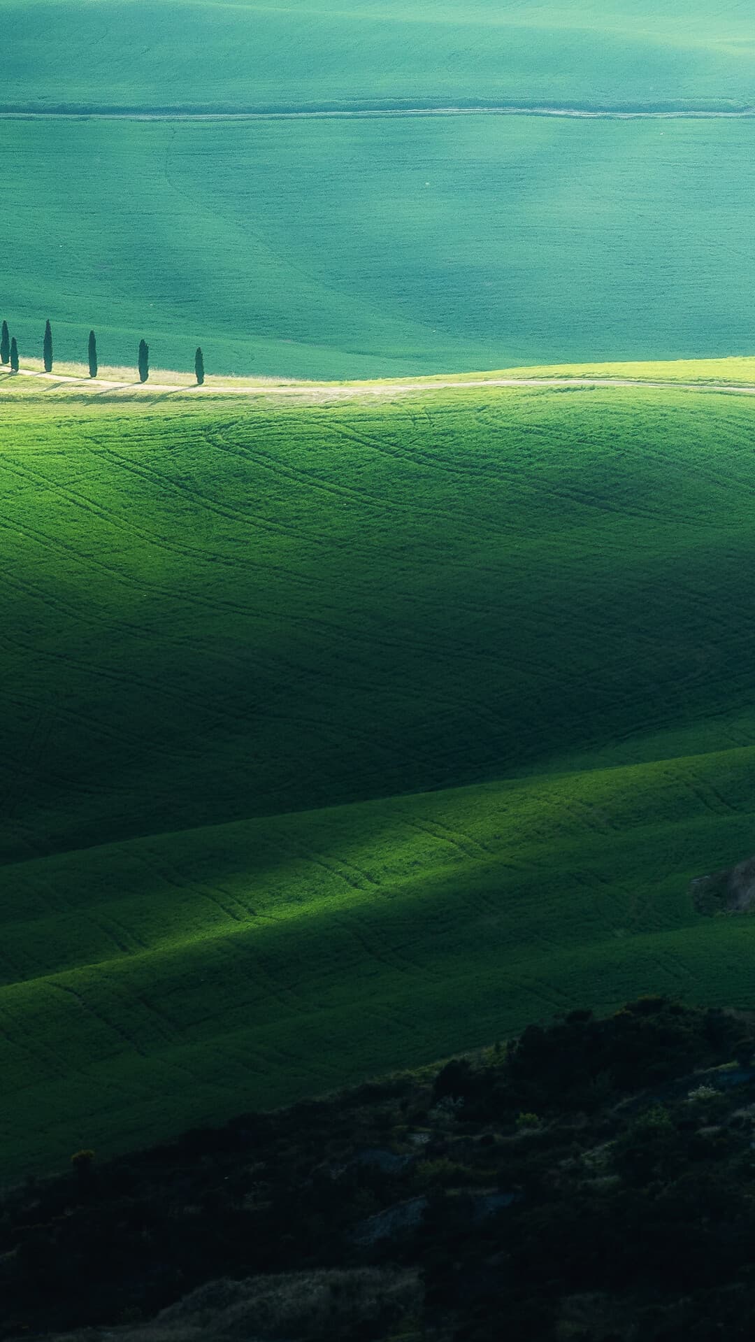 Aesthetic Wallpaper #1554