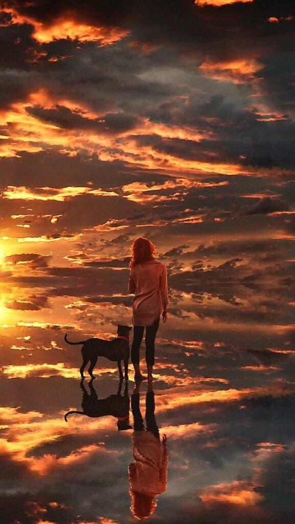 Aesthetic Wallpaper #1353