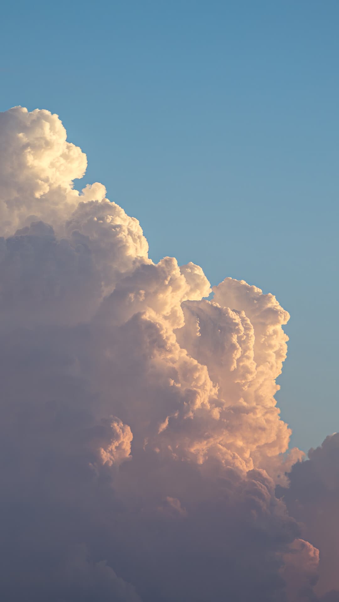 Aesthetic Wallpaper #1619