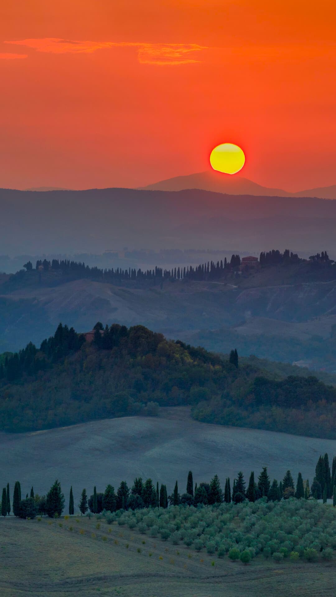 Aesthetic Wallpaper #1498