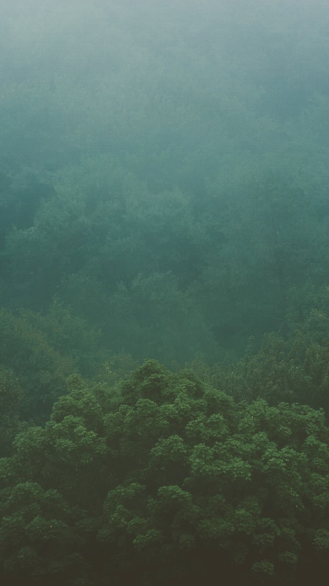 Aesthetic Wallpaper #2641