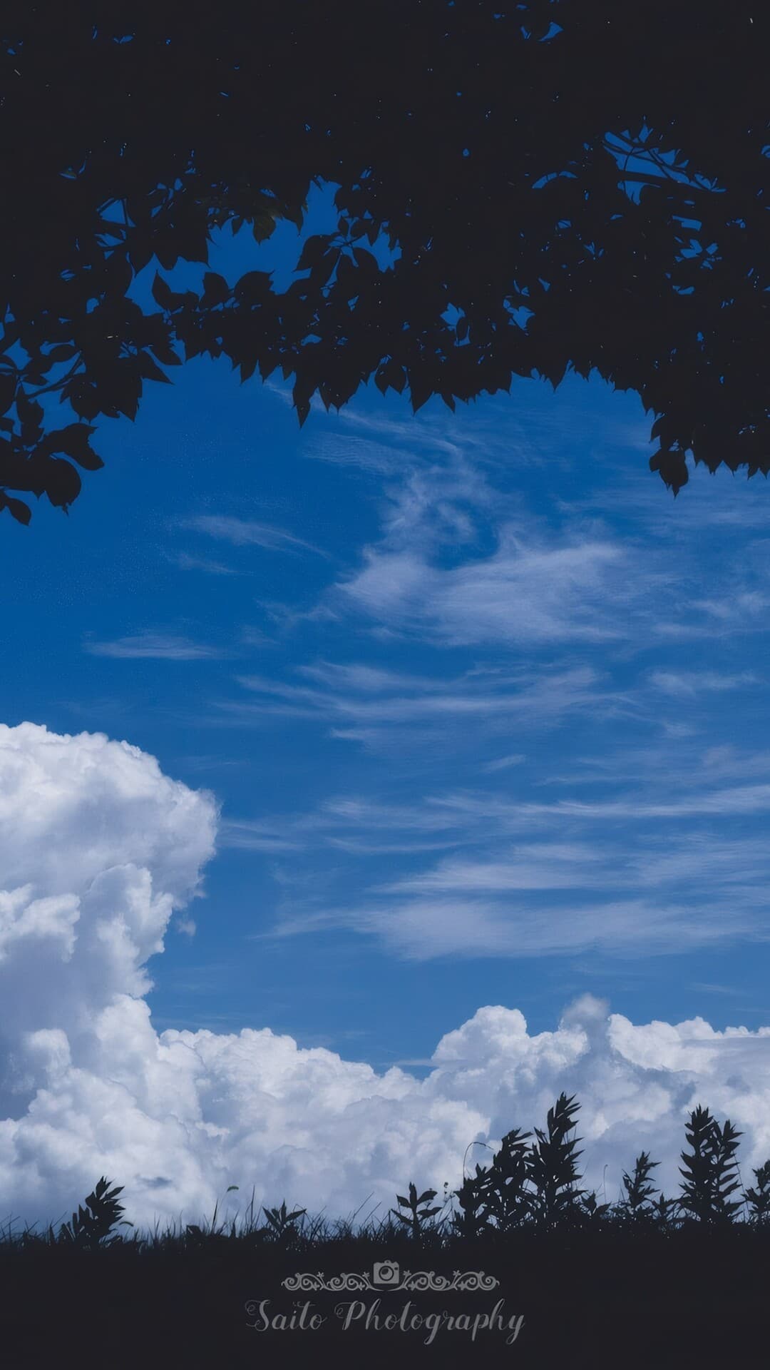 Aesthetic Wallpaper #3385