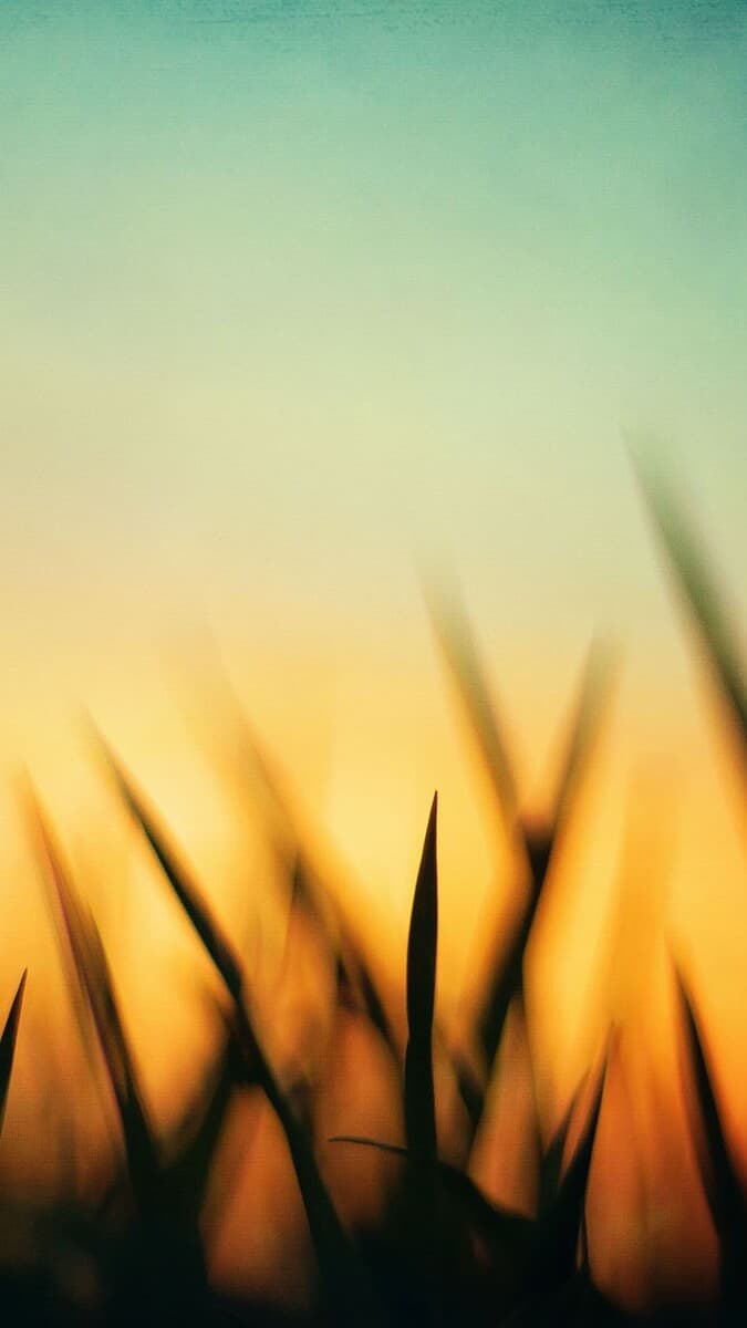 Aesthetic Wallpaper #3208