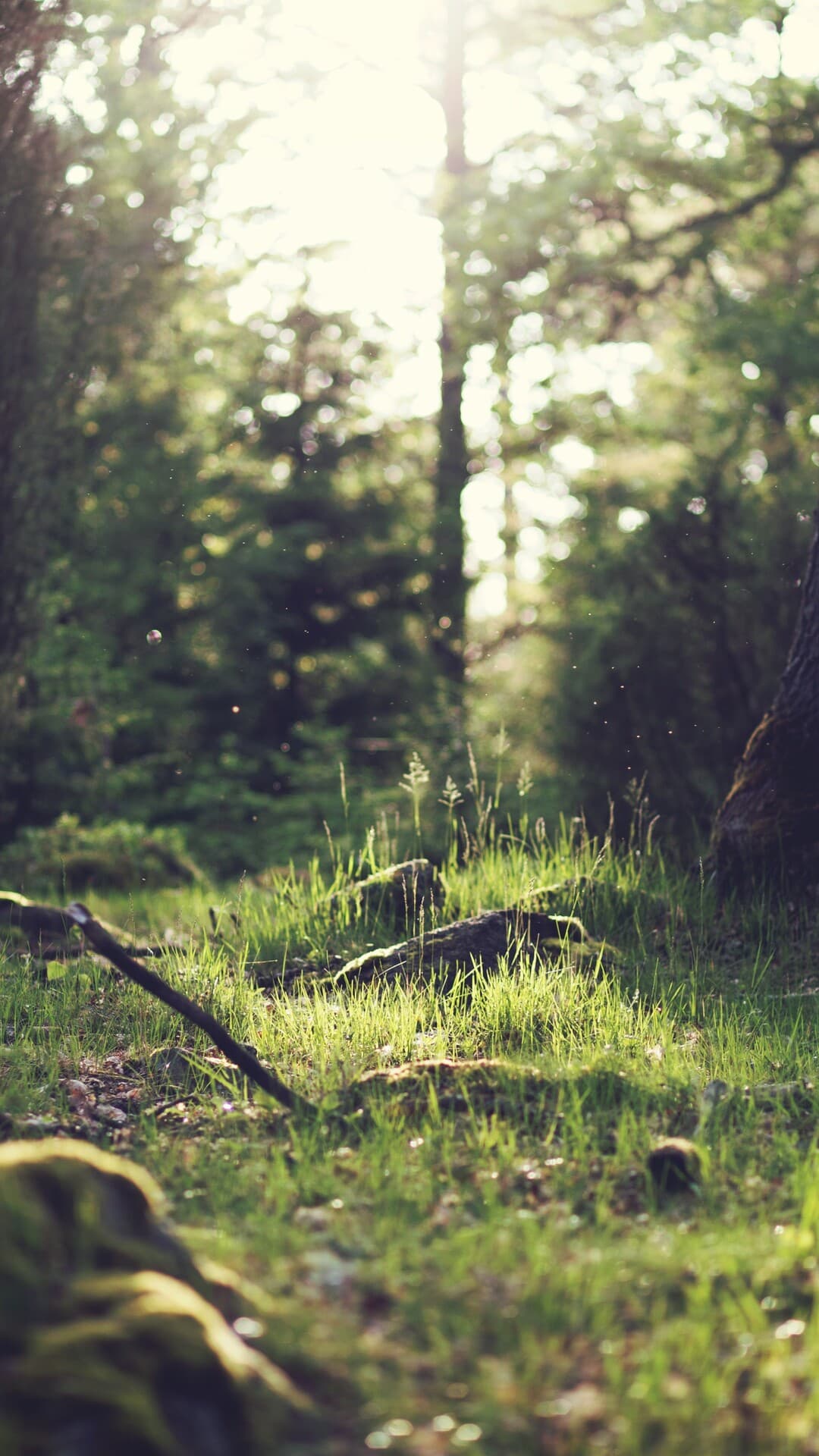 Aesthetic Wallpaper #2456