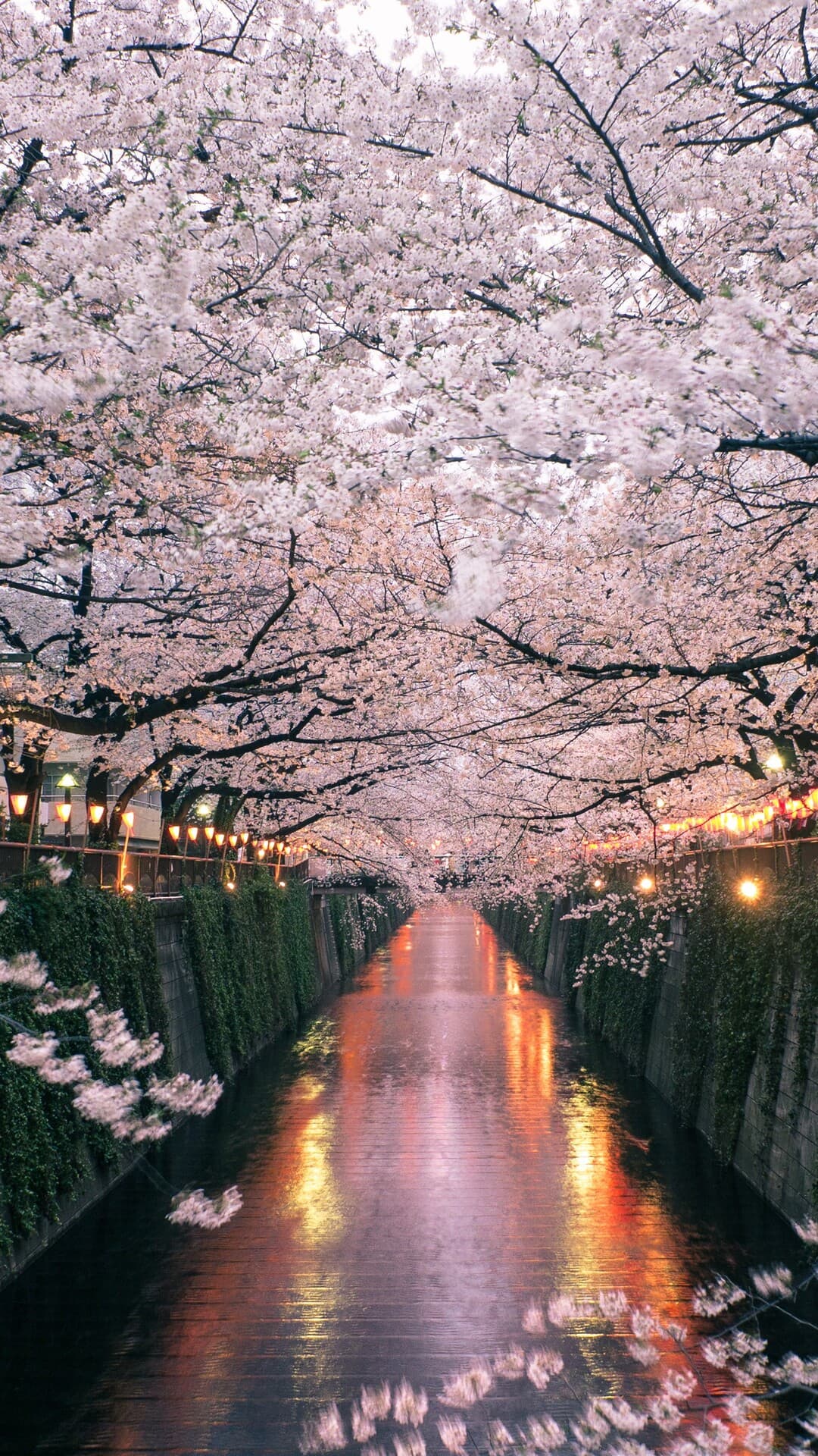 Aesthetic Wallpaper #3687