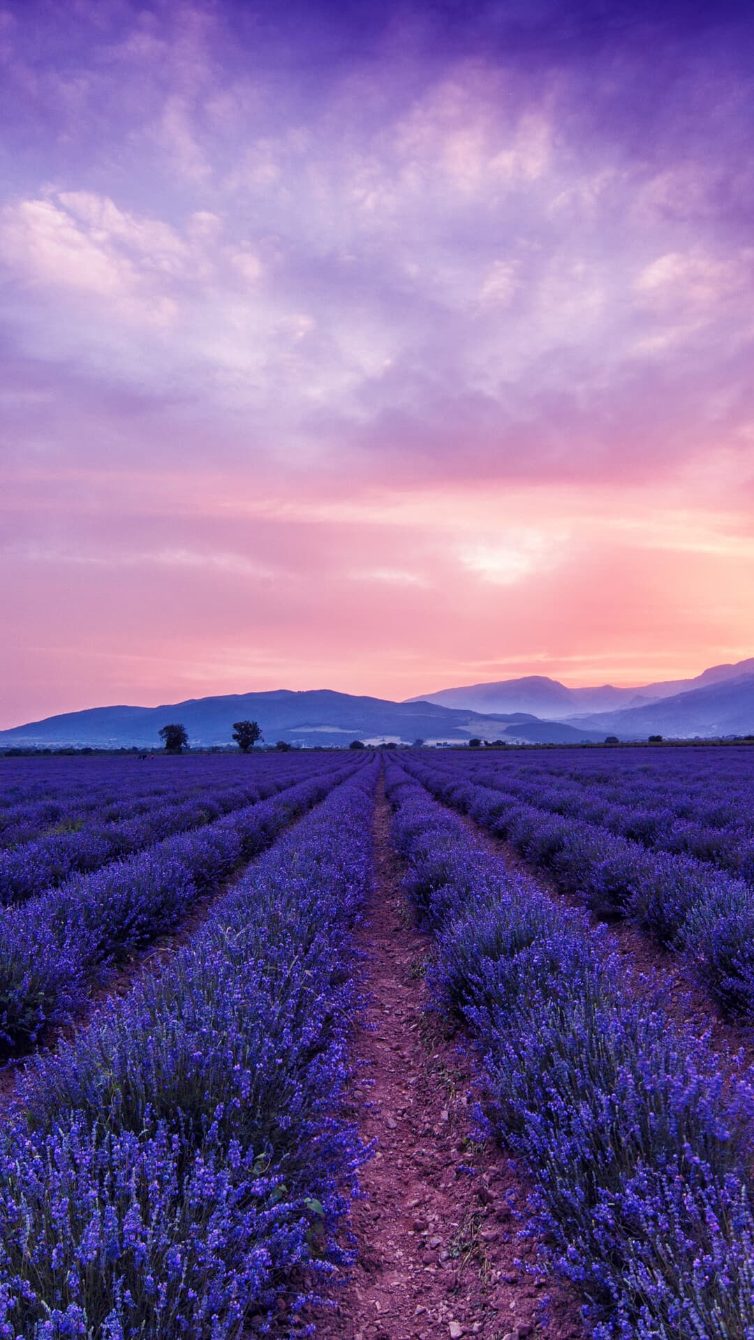 Aesthetic Wallpaper #3272