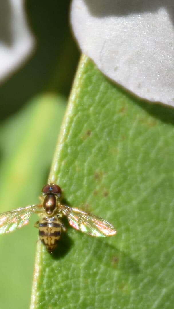 Aesthetic Wallpaper #3888