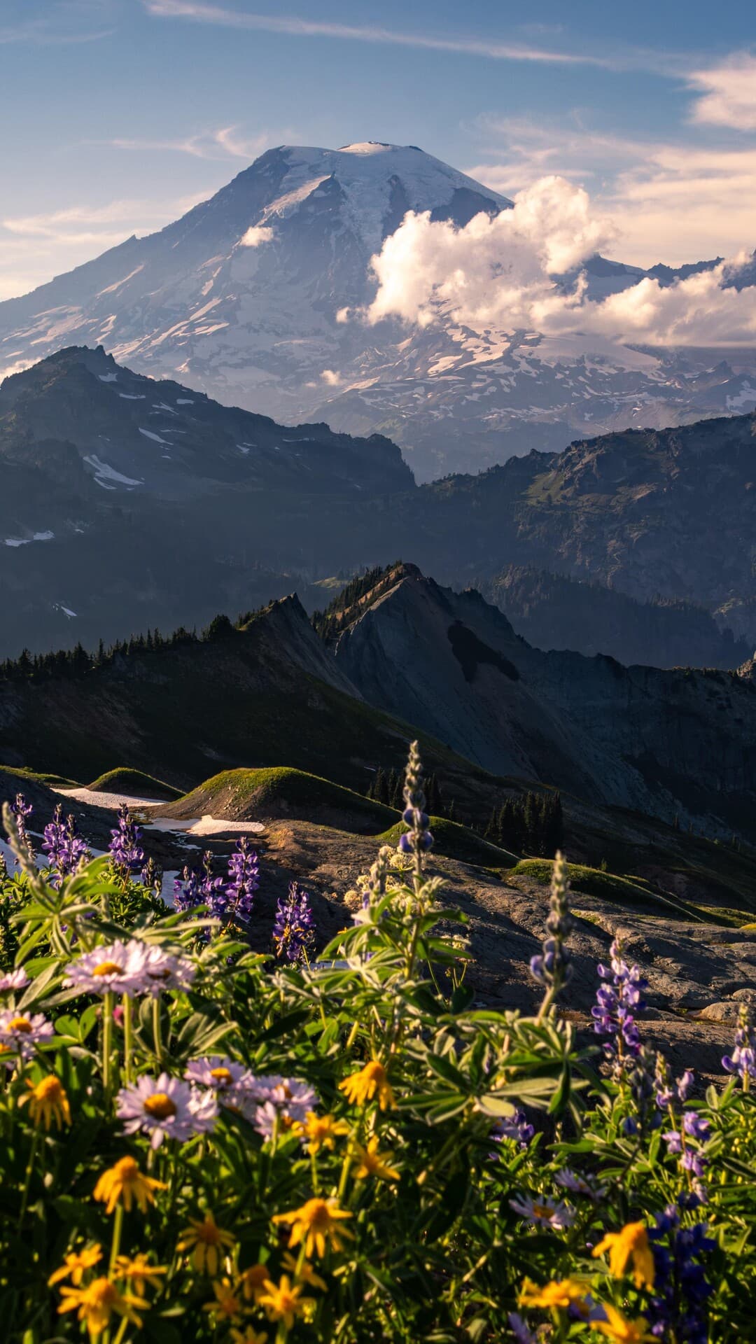 Aesthetic Wallpaper #4899