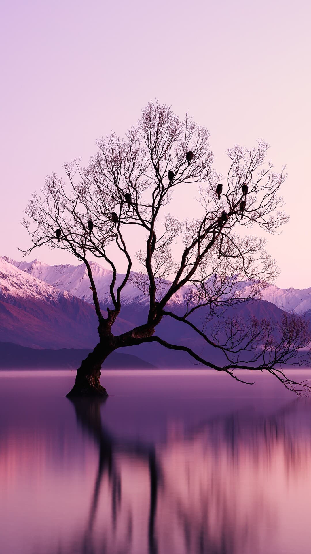 Aesthetic Wallpaper #4330