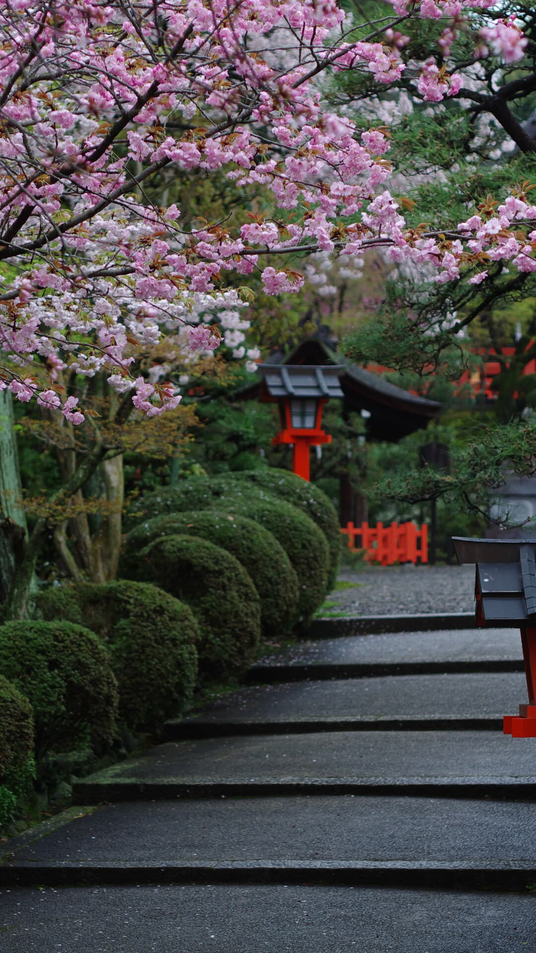 Aesthetic Wallpaper #1808