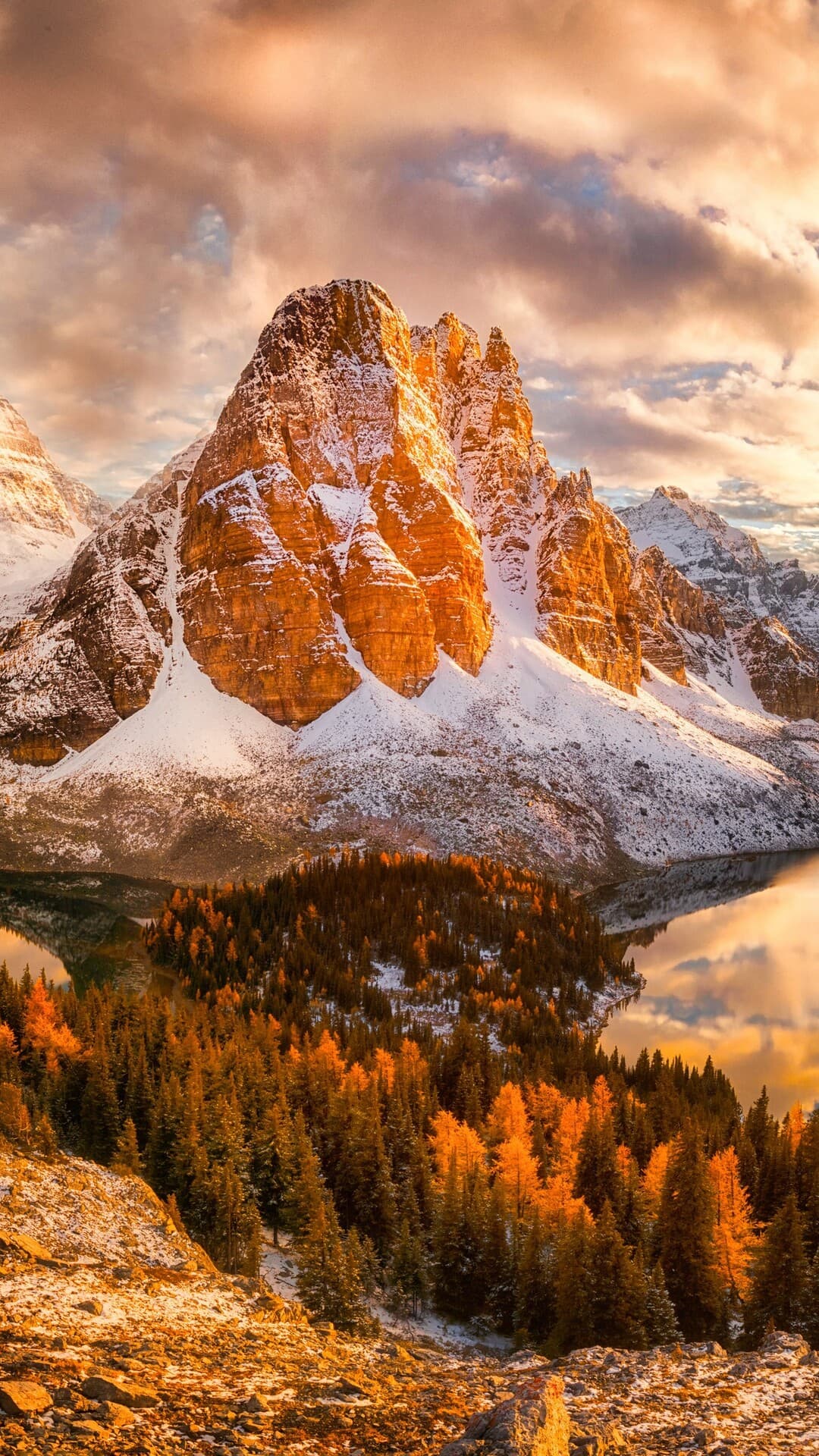 Aesthetic Wallpaper #2243