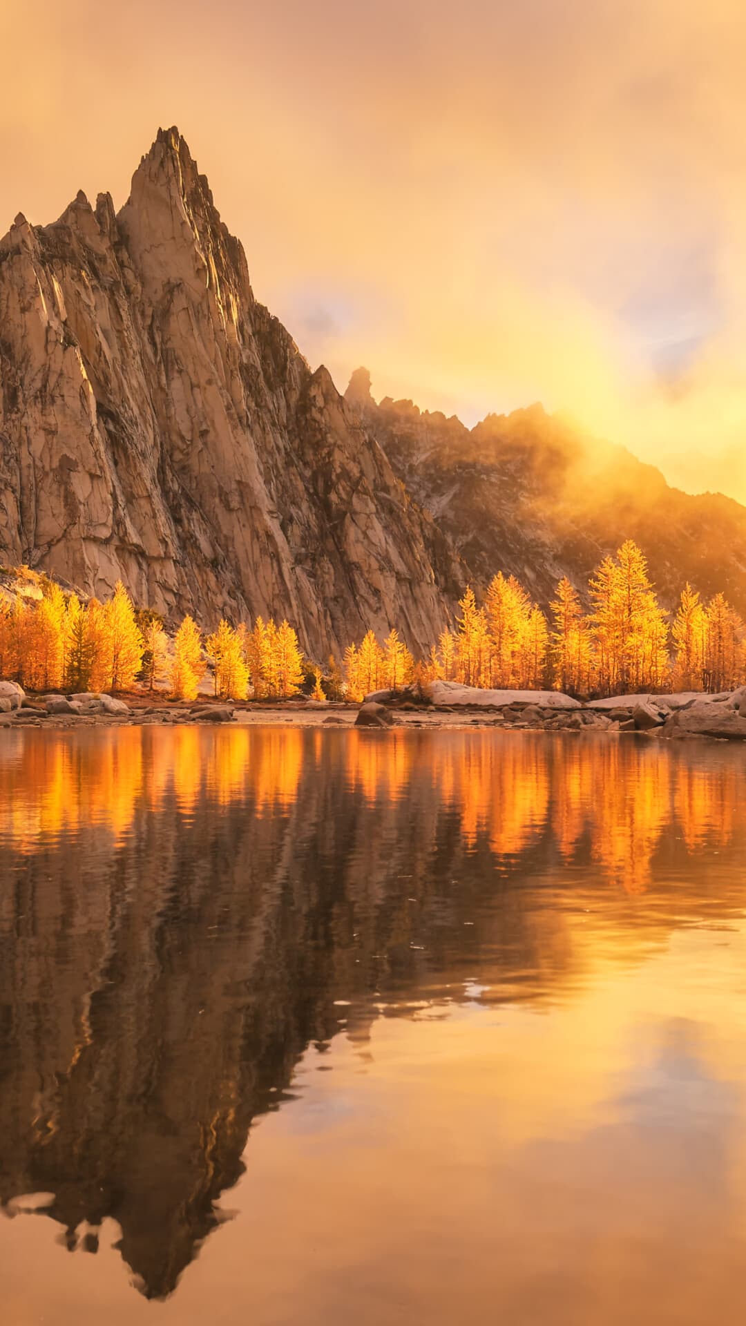 Aesthetic Wallpaper #2815