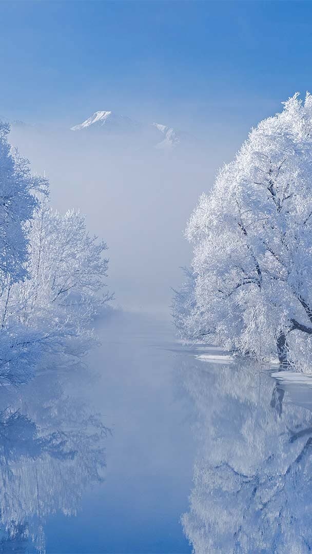 Aesthetic Wallpaper #3262