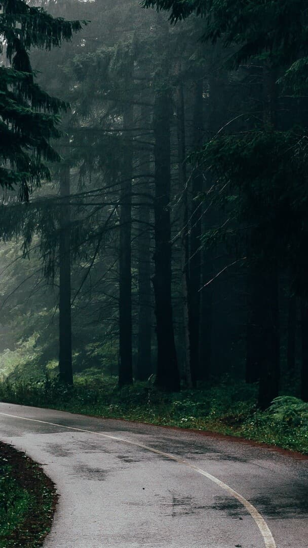 Aesthetic Wallpaper #415