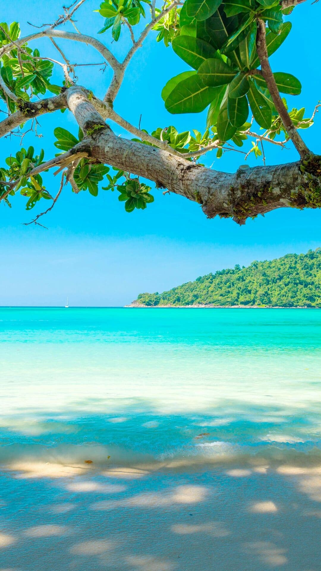 Aesthetic Wallpaper #1745