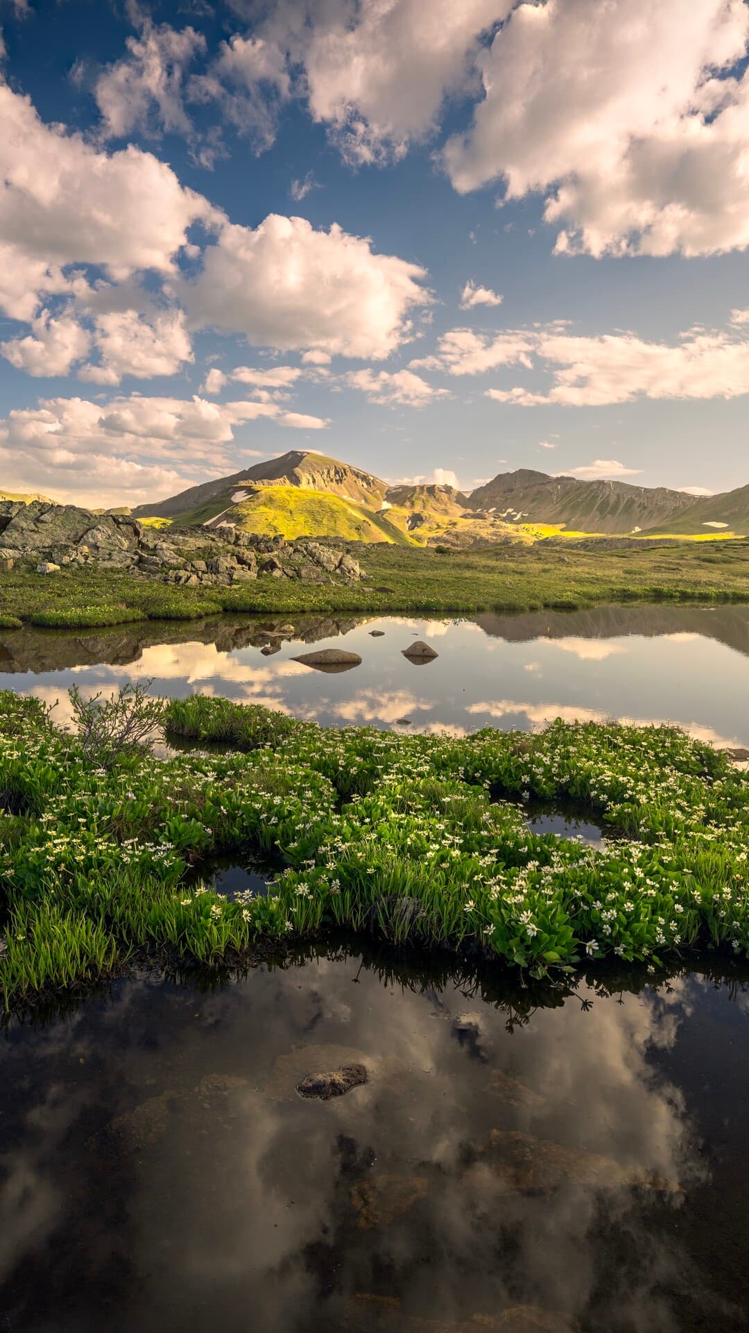 Aesthetic Wallpaper #1416