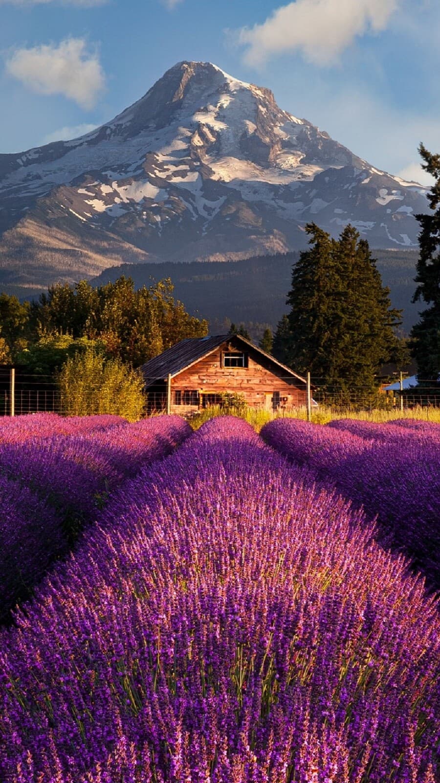 Aesthetic Wallpaper #4958