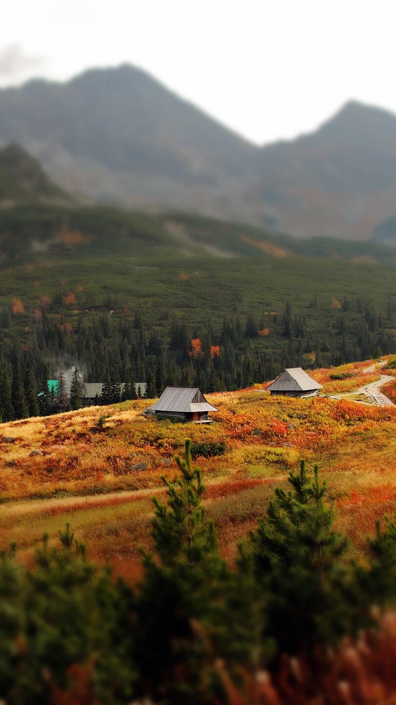 Aesthetic Wallpaper #2677