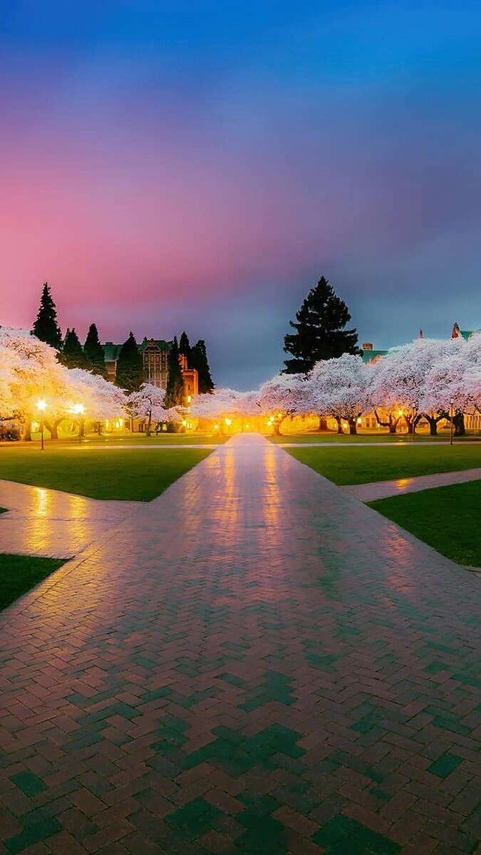 Aesthetic Wallpaper #3310