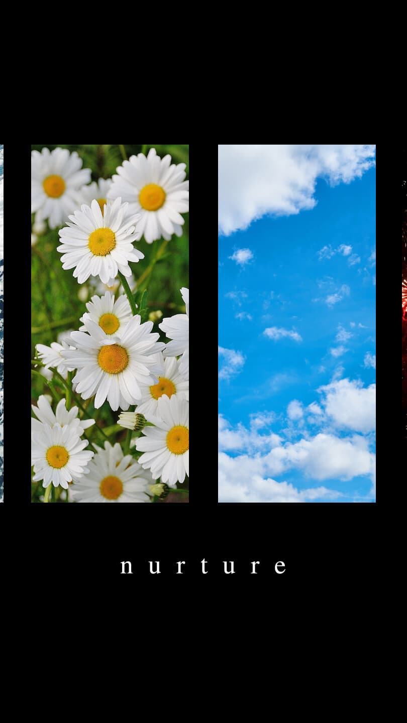 Aesthetic Wallpaper #2407