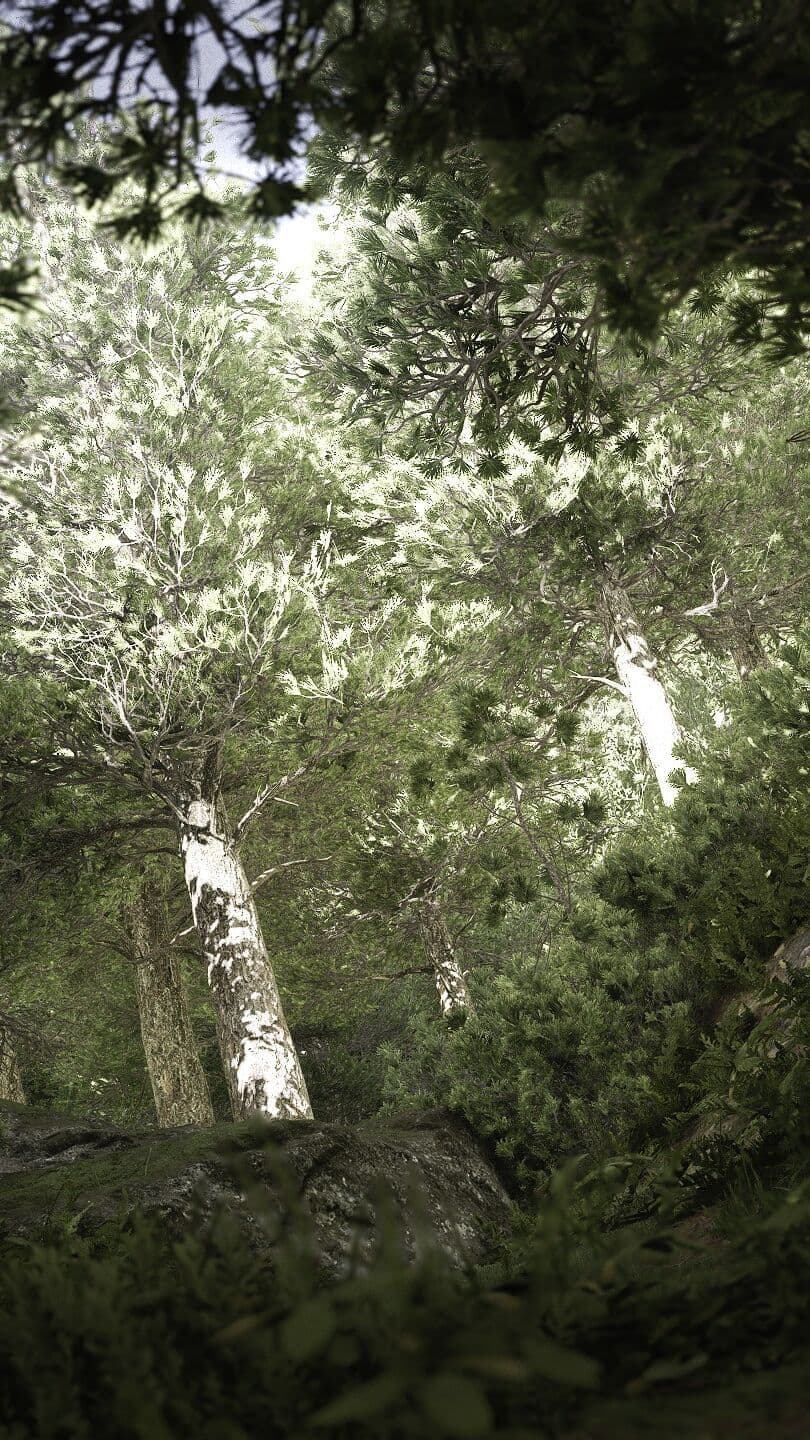 Aesthetic Wallpaper #2533