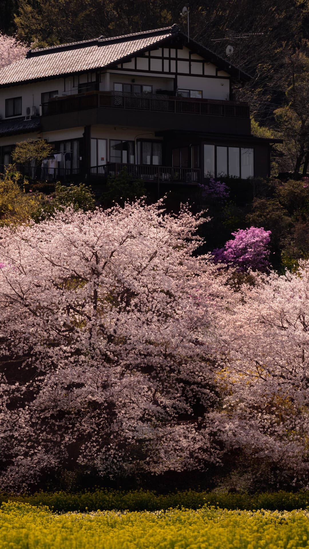 Aesthetic Wallpaper #5024