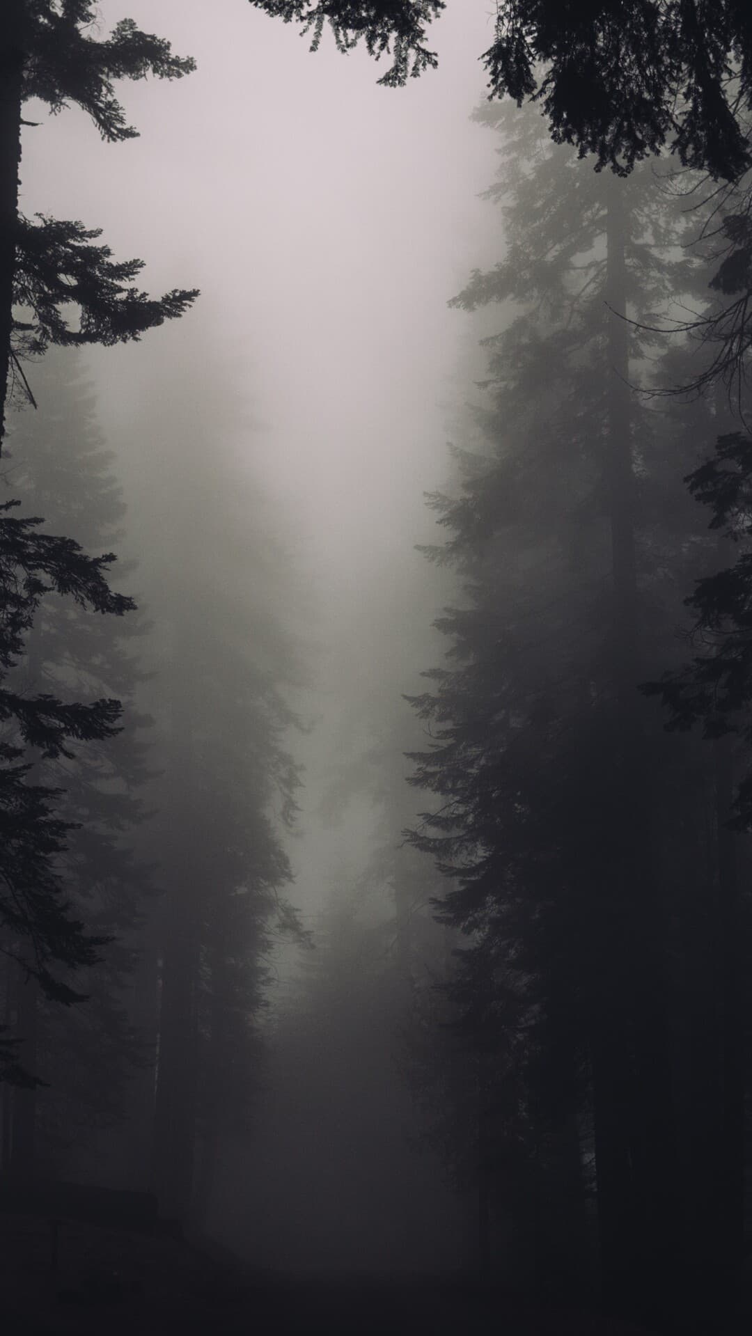 Aesthetic Wallpaper #4151