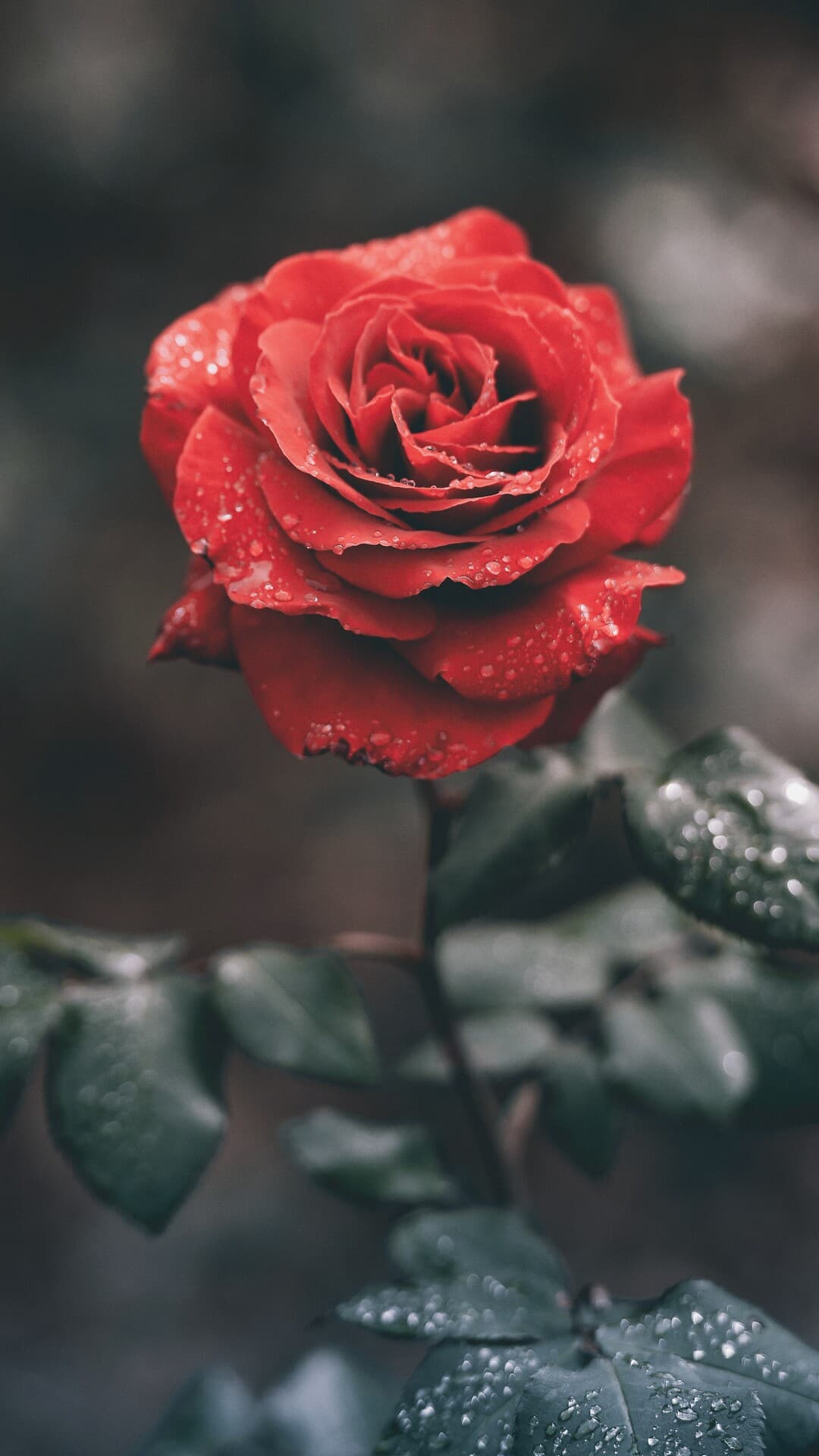 Aesthetic Wallpaper #5170