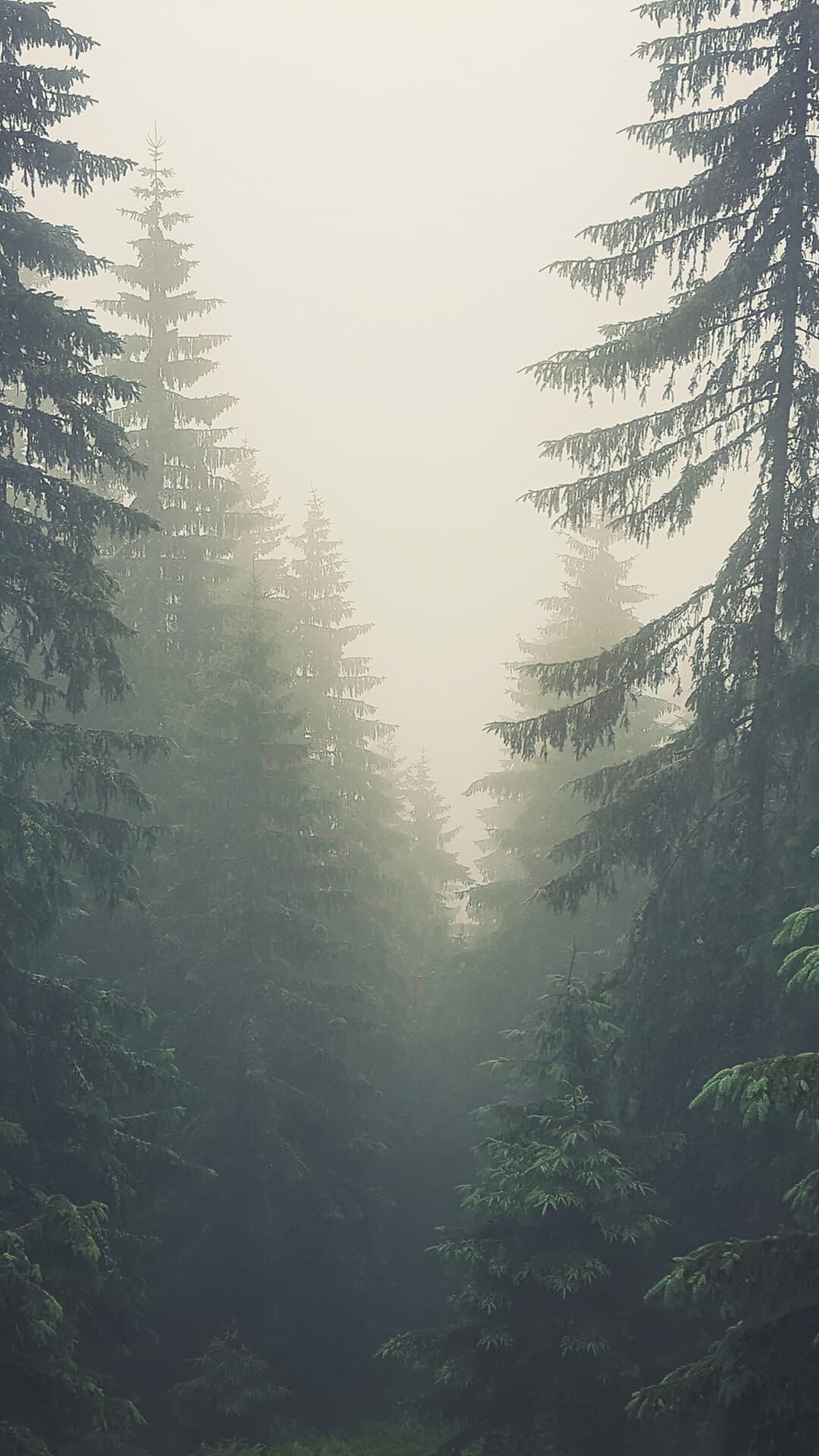 Aesthetic Wallpaper #5186